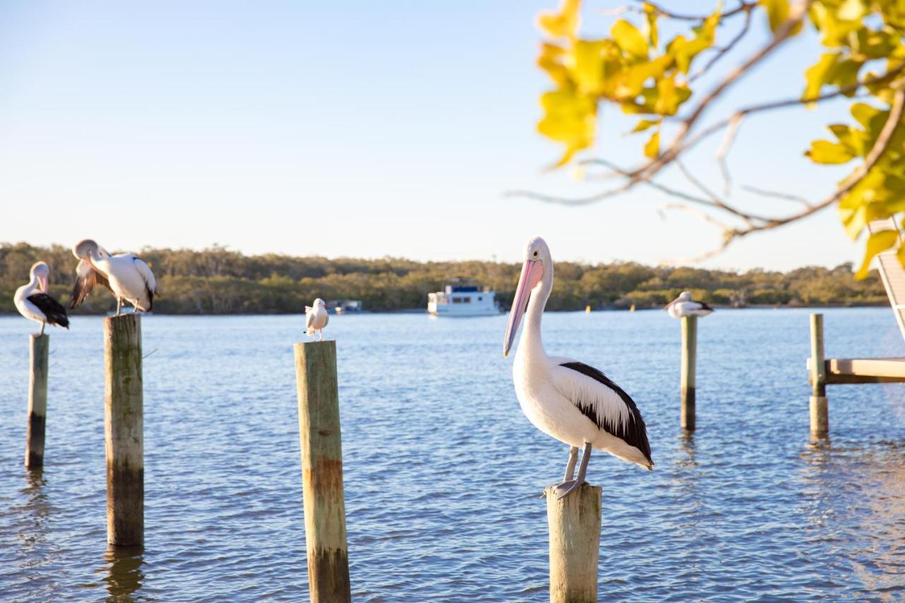 The Islander Noosa Resort Noosaville Εξωτερικό φωτογραφία